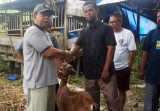 TMI Pekanbaru Berbagi Kebahagiaan Iduladha di Panti Al-Fath, Gagas Program Tani Santri