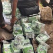 Aksi Kabur Gagal, Dua Kurir 30 Kg Sabu Ditangkap Polda Riau di Dumai
