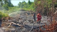 Lahan Gambut Terbakar di Kampar, Diduga Disengaja