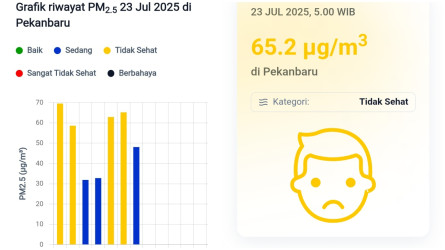 Kualitas Udara Pekanbaru Tidak Sehat, Dinkes Imbau Warga Waspada