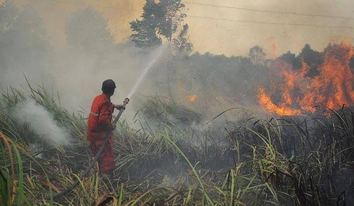 Delapan Daerah di Riau Tetapkan Status Siaga Darurat Karhutla 2024