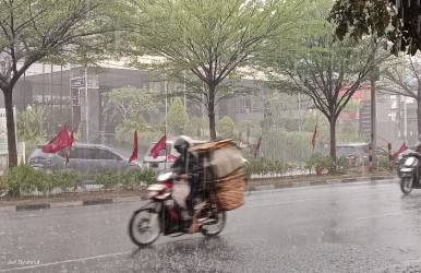 BMKG Pekanbaru: Waspada Hujan Lebat Disertai Petir di Sejumlah Wilayah Riau