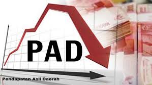 Anggota DPRD Riau Dorong BUMD Tingkatkan Kinerja untuk Perkuat PAD