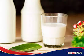 Pakar UGM Sebut Program Minum Susu Gratis Dorong Upaya Kemandirian Produksi Susu Nasional