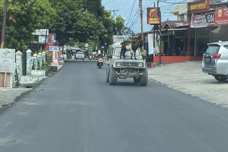 Sinergi Pemprov Riau dan PUPR Pekanbaru, Jalan Mulus, Kota Bertuah Makin Nyaman