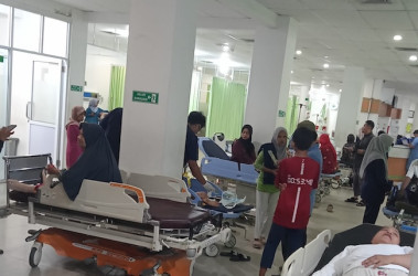 Pemko Turunkan Tim Investigasi Usai 9 Warga Pekanbaru Digigit Anjing