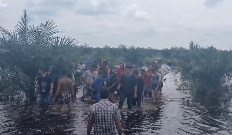 Bocah 3 Tahun Tenggelam di Kanal Perkebunan Sawit di Pelalawan, Ditemukan Meninggal Dunia