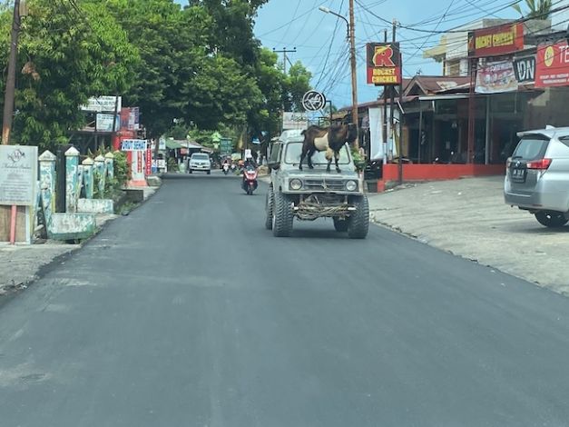 5 Bulan Menjabat, Pj Gubri Tuntaskan Perbaikan 17 Ruas Jalan Rusak di Pekanbaru