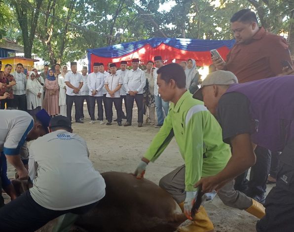 Pj Walikota Risnandar Saksikan Penyembelihan Hewan Kurban, Daging Didistribusikan ke THL dan OP