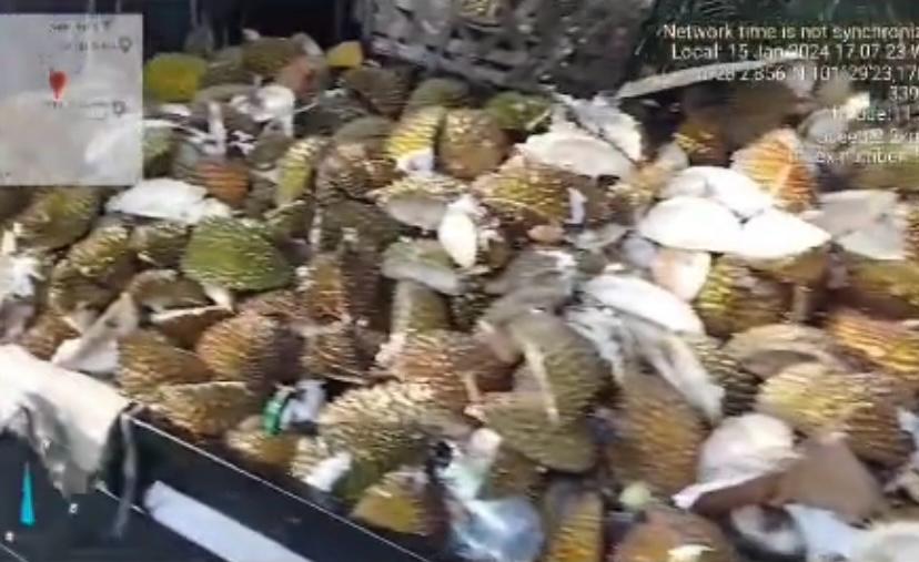 Tim GAKKUM DLHK Kota Pekanbaru Lakukan Tindakan Pencegahan terhadap Pembuangan Sampah Kulit Durian di Jalan Pesantren