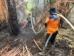 Sumatra Catat 195 Titik Panas, Riau Penyumbang Terbesar