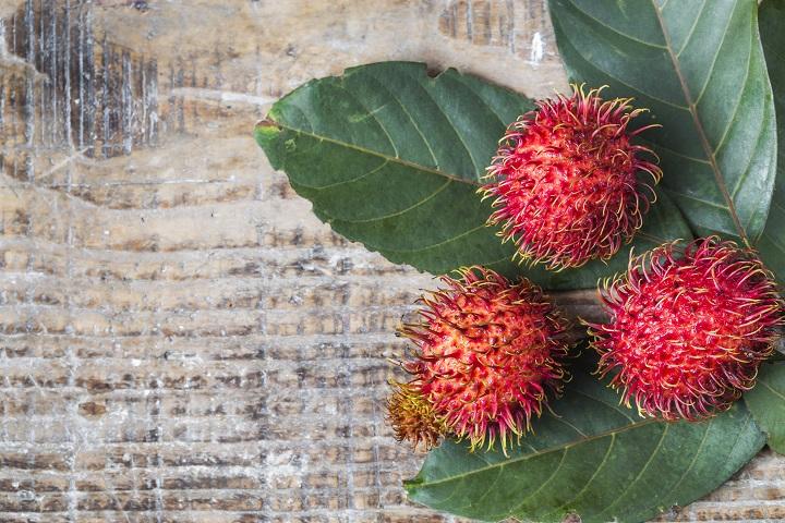 Manfaat Buah Rambutan untuk Kesehatan, Tingkatkan Kekebalan Tubuh dan Perbaiki Pencernaan