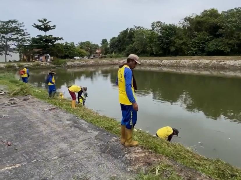 Dinas PUPR Pekanbaru Kerahkan Pasukan Kuning Bersihkan Rumput Liar di Waduk Cipta Karya Antisipasi Banjir