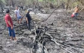 Petani Sayur Ditangkap karena Bakar Lahan Objek Vital Nasional di Pekanbaru