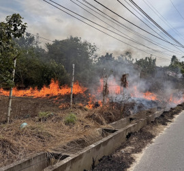 Cuaca Panas Ekstrem, Empat Lahan di Pekanbaru Terbakar