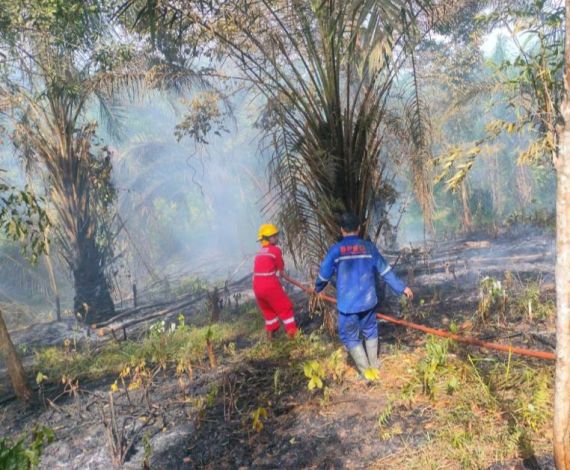 Satu Hektare Lahan di Rumbai Timur Terbakar