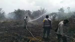 BMKG Kembali Deteksi 159 Hot Spot Karhutla di Sumatera, Riau 31 Titik