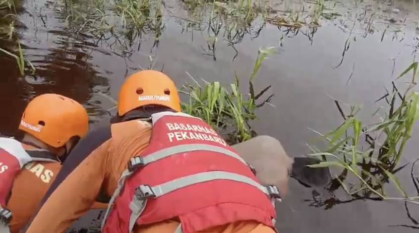 Terbawa Arus saat Berenang, Remaja di Pelalawan Ditemukan Meninggal Dunia