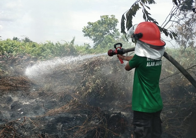 Karhutla Meluas di Pekanbaru, BPBD Siagakan Personel 24 Jam