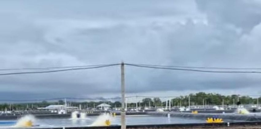 Kasus Tambak Udang Bengkalis Mandek, Kejati Riau Tegaskan Bukti Korupsi Masih Lemah