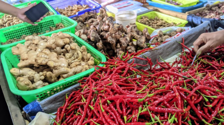 Harga Pangan Mulai Turun Pasca Bencana Alam di Provinsi Tetangga