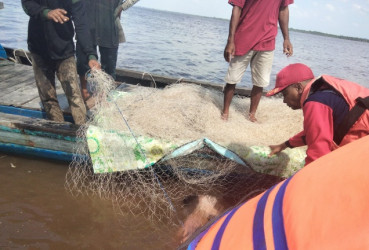 Jatuh di Sungai Kembung, Warga Bengkalis Ditemukan Meninggal Tersangkut Jaring