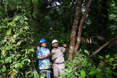 PT Inti Indosawit Subur Bantah Terlibat Aktivitas di Kawasan Taman Nasional Tesso Nilo