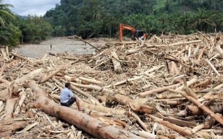 Banjir Besar dan Tumpukan Kayu di Sumatera, Pengamat Sebut Bencana Terjadi Karena Abainya Negara