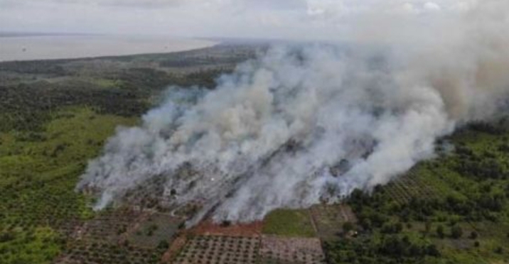 Hotspot Kembali Marak di Pulau Sumatra, Termasuk Riau