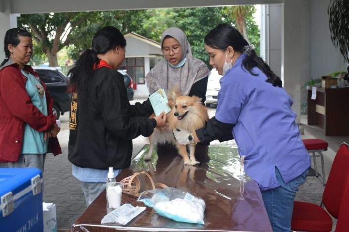 13.212 Hewan Peliharaan di Riau Disuntik Vaksin Rabies