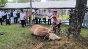 Polda Riau Serahkan 32 Ekor Sapi Kurban ke 22 Masjid