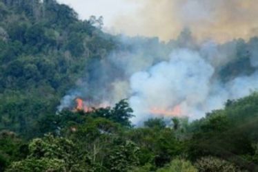 Riau Catat 55 Titik Panas, Paling Banyak Terdeteksi di Siak