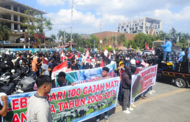 Aliansi Masyarakat Penyelamatan Gajah Gelar Aksi Balasan Dukung Satgas Relokasi Warga TNTN