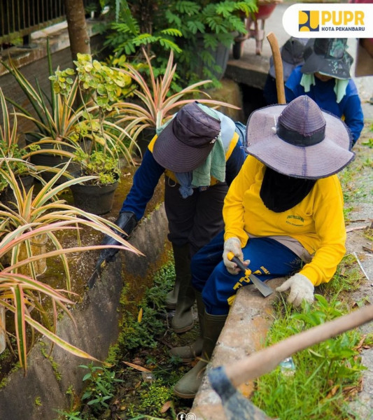 Pasukan Kuning PUPR Pekanbaru Bersihkan Drainase di Jalan Akasia