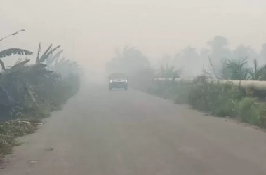 Rokan Hilir Jadi Daerah Tertinggi Pencemaran Udara di Indonesia