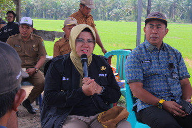 Sawah Kering, Bupati Siak Cek Langsung Pompanisasi di Bungaraya