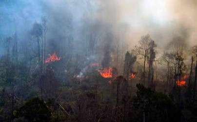Pemprov Riau Perpanjang Status Tanggap Darurat Karhutla