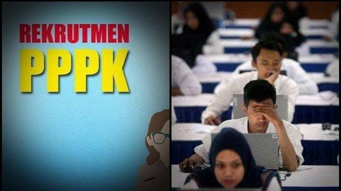 Pemprov Riau Umumkan Hasil Sanggahan Seleksi PPPK, 28 Peserta Diterima untuk Lanjut ke Tahap Selanjutnya