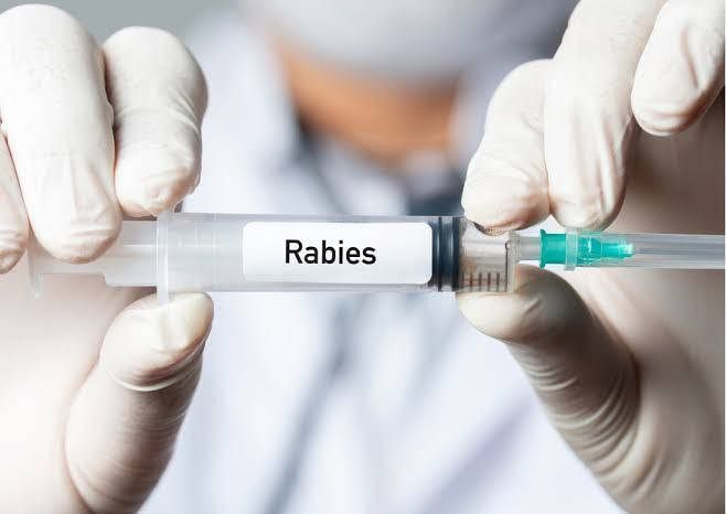 Ribuan Hewan Peliharaan di Pekanbaru Divaksin Rabies