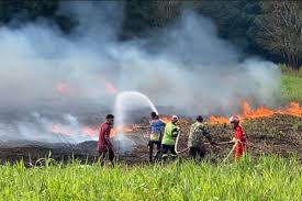 BPBD Catat Penambahan 10,2 Hektare Lahan Terbakar Akibat Karhutla di Riau