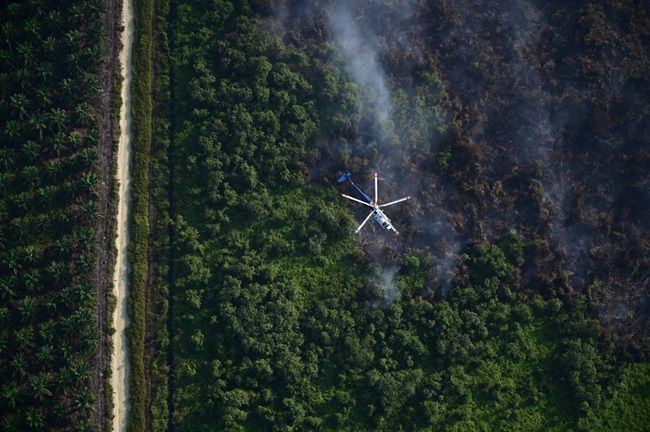 Lanud Roesmin Nurjadin Terbangkan Heli H225M Bantu Patroli Karhutla