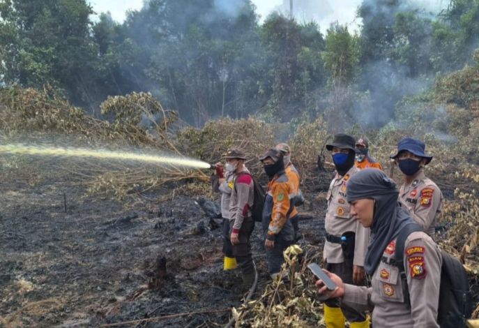 Karhutla Terpantau di Inhu, Petugas Berjibaku Padamkan Kebakaran